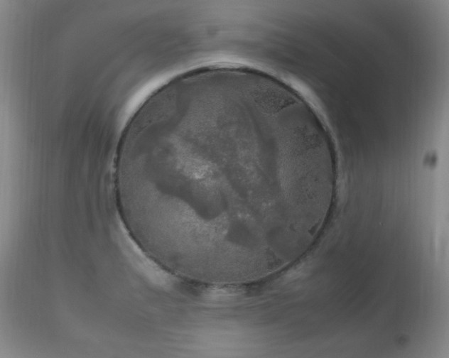 X0000112971183200909031038