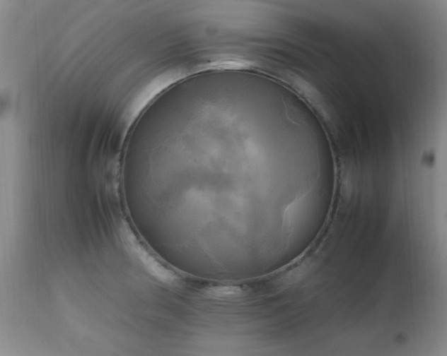 X0000112971186200909031038