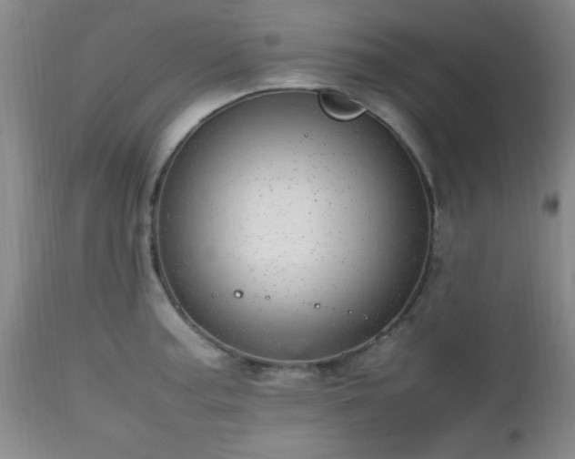 X0000112971187200909031038