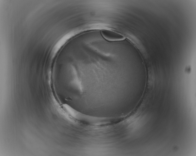 X0000112971188200909031038