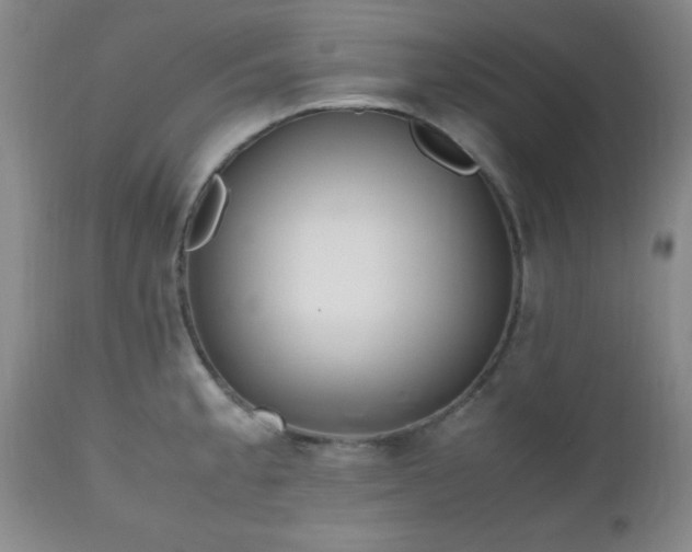 X0000112971189200909031038