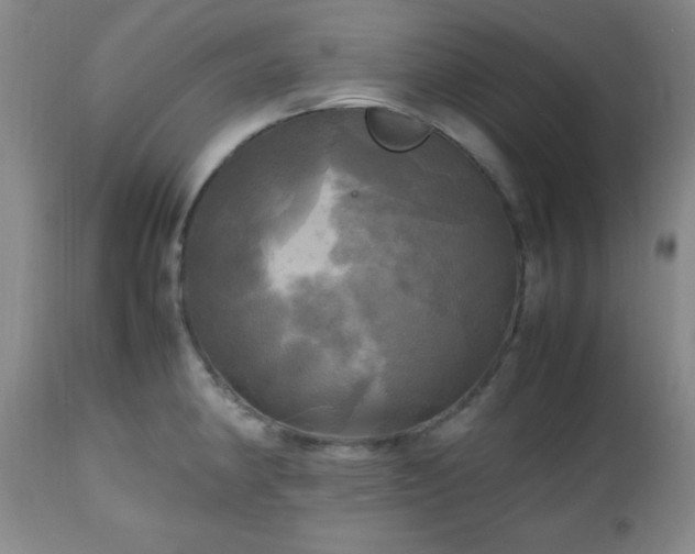 X0000112971190200909031038