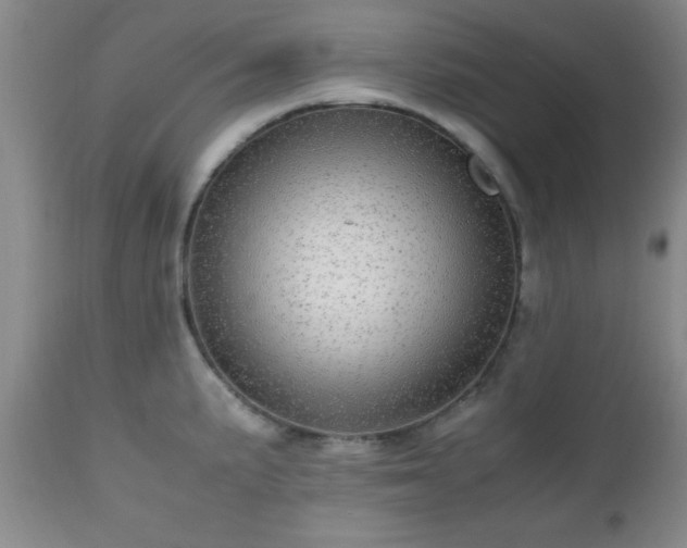 X0000112971191200909031038