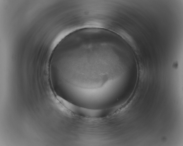 X0000112971192200909031038