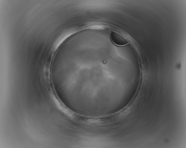 X0000112971194200909031038