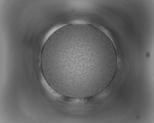 X0000112971195200909031038