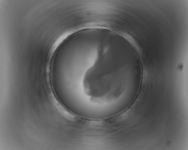 X0000112971196200909031038