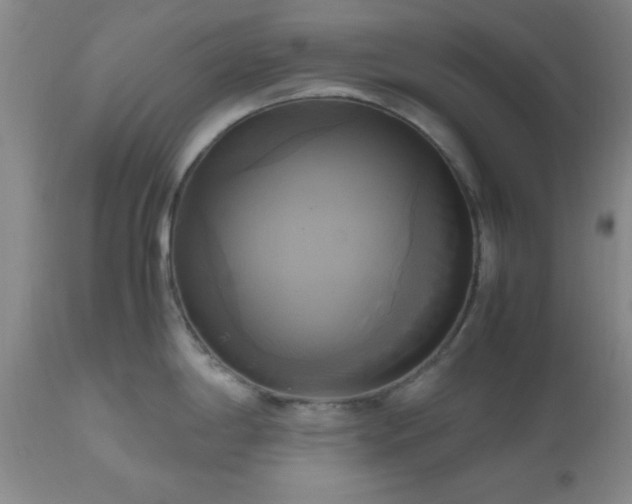 X0000112971198200909031038