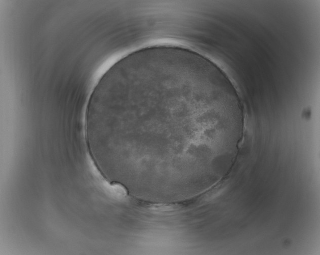 X0000112971199200909031038