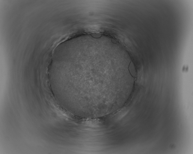 X0000112971201200909031037