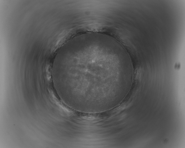 X0000112971202200909031037