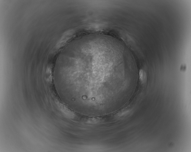 X0000112971203200909031037