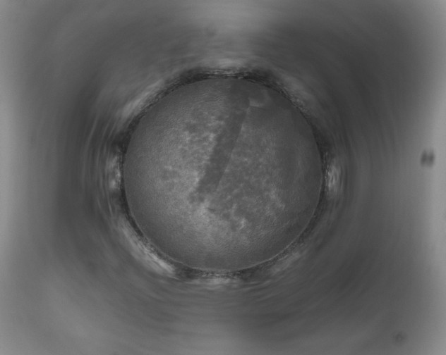 X0000112971204200909031037