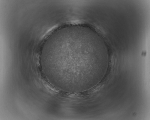 X0000112971205200909031037