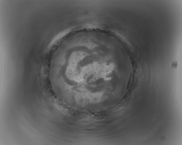 X0000112971207200909031037