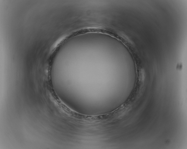 X0000112971208200909031037