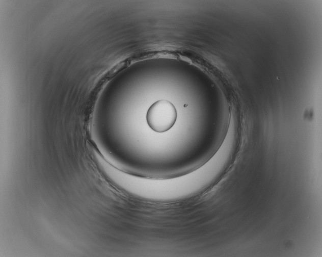 X0000112971209200909031037