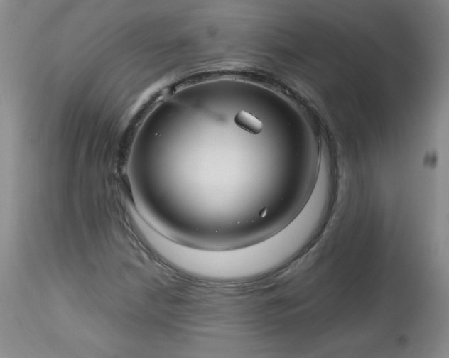 X0000112971210200909031037