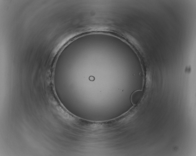 X0000112971212200909031037