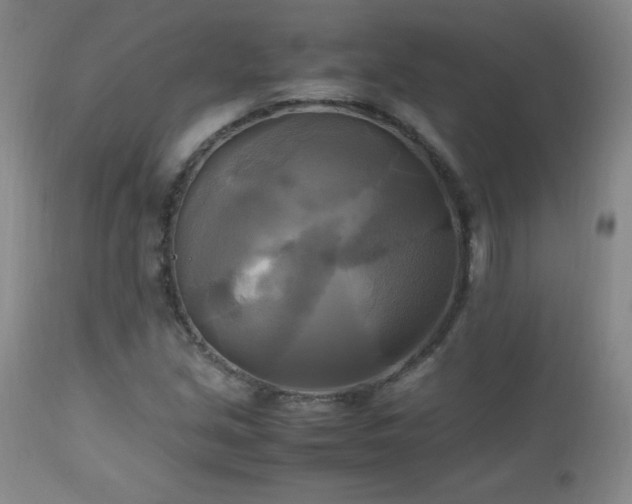 X0000112971213200909031037