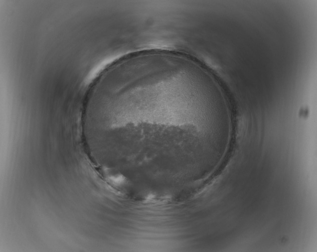 X0000112971214200909031037