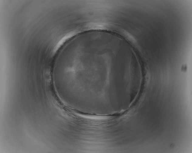 X0000112971218200909031037