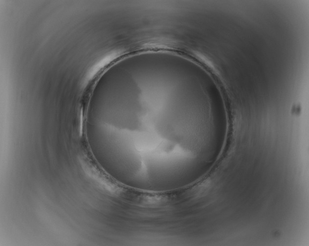 X0000112971219200909031038