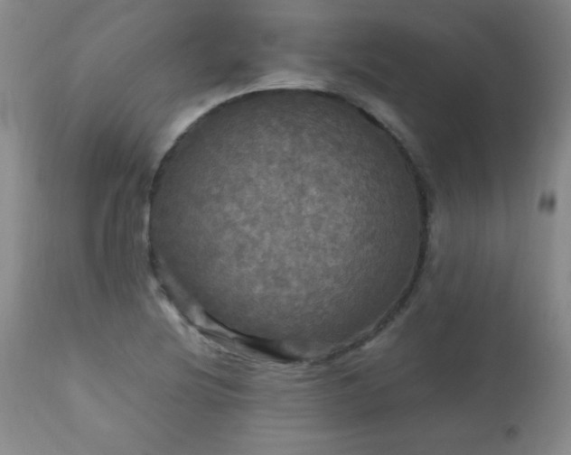 X0000112971220200909031038