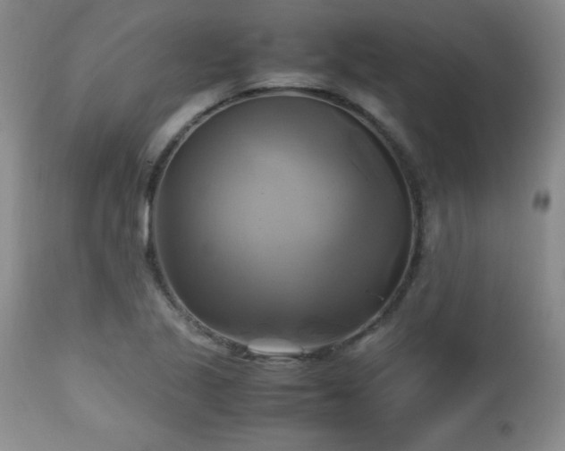 X0000112971221200909031038