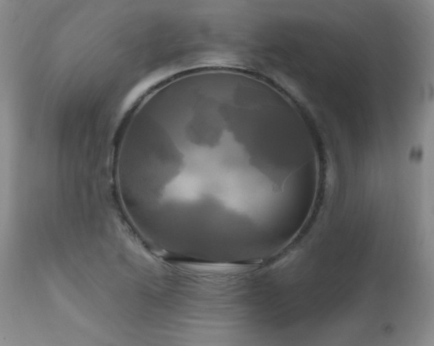 X0000112971222200909031038