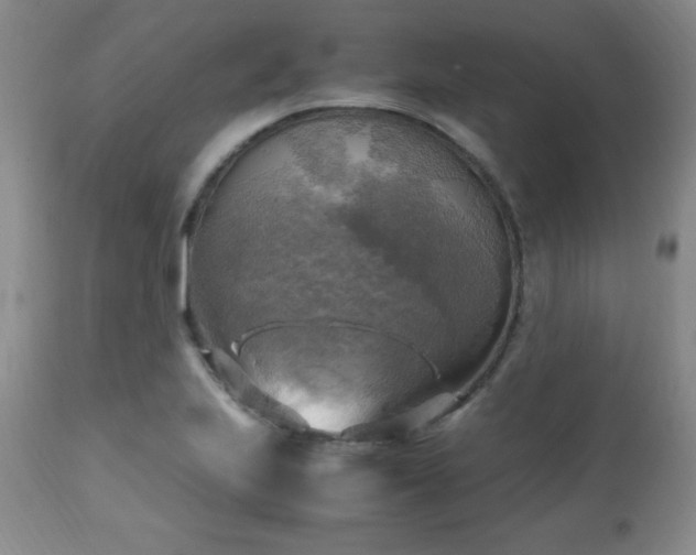 X0000112971223200909031038