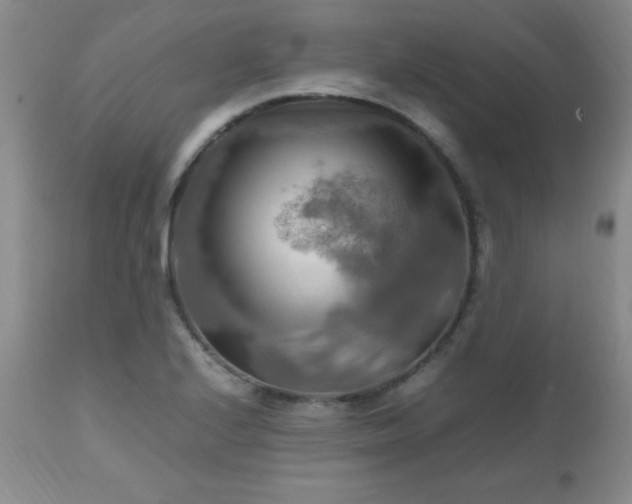 X0000112971224200909031038