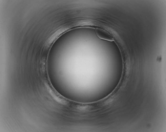 X0000112971225200909031038