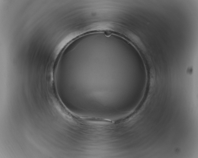 X0000112971226200909031038