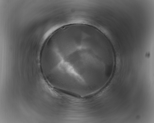 X0000112971230200909031038