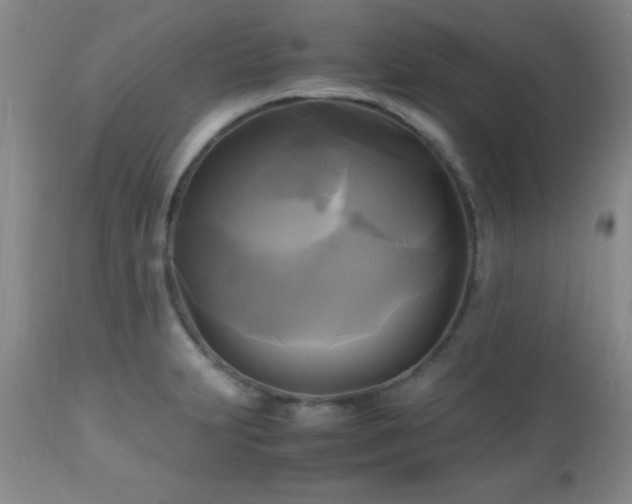 X0000112971231200909031038