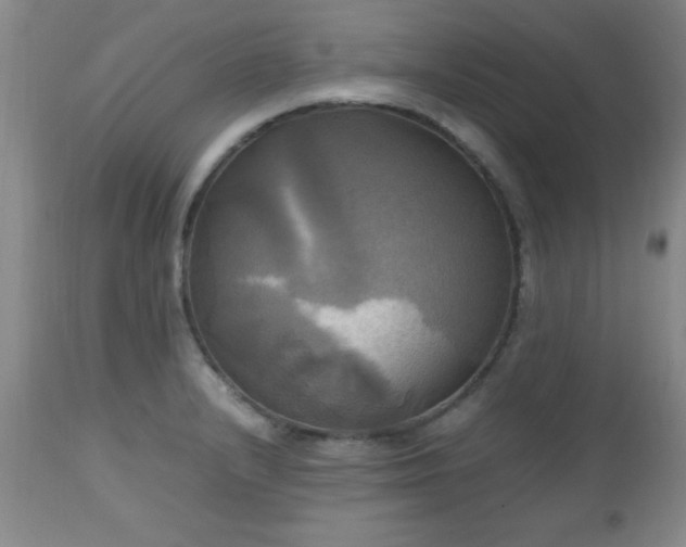 X0000112971232200909031038