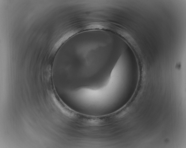 X0000112971233200909031038