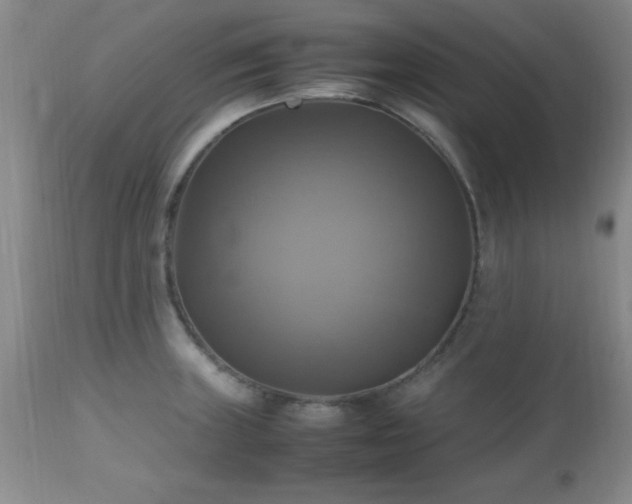 X0000112971235200909031038