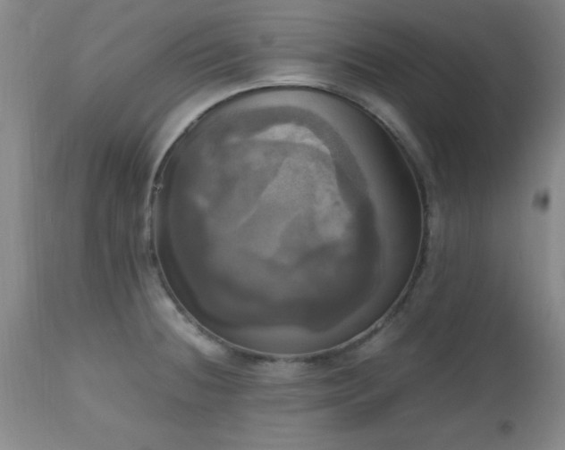 X0000112971236200909031038