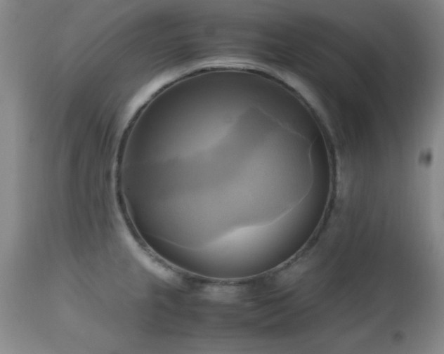 X0000112971237200909031038