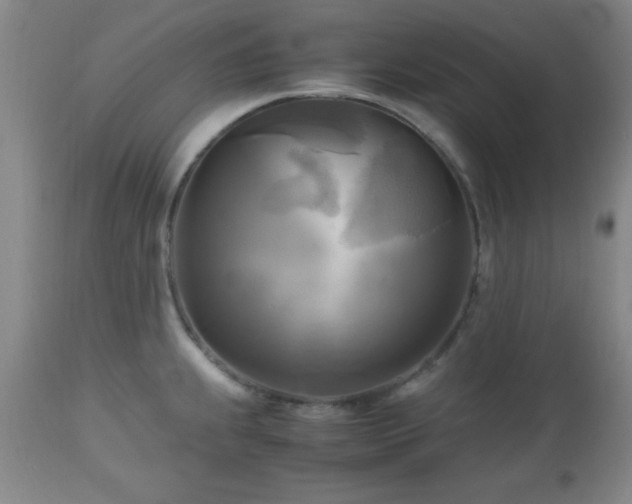 X0000112971239200909031038