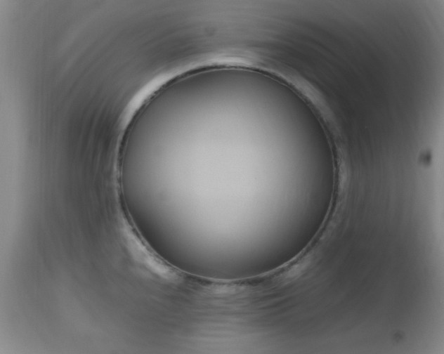 X0000112971240200909031038