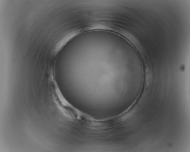 X0000112971241200909031038