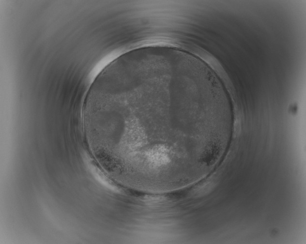 X0000112971242200909031038