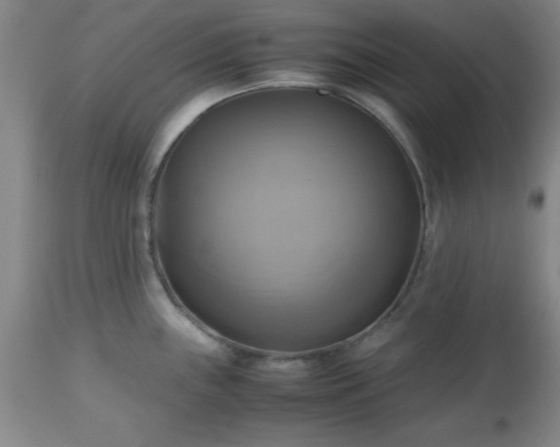 X0000112971243200909031038