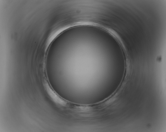 X0000112971244200909031038