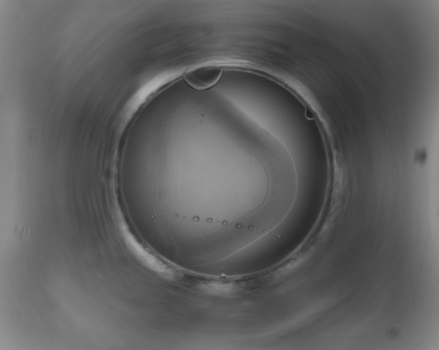 X0000112971245200909031038