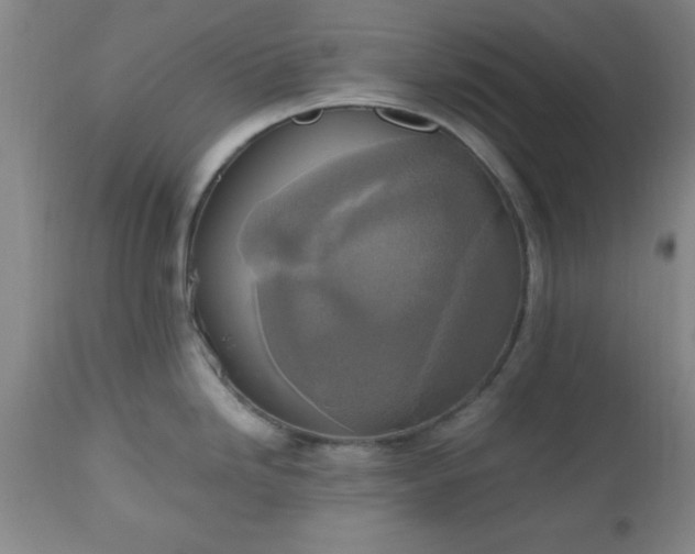 X0000112971246200909031038