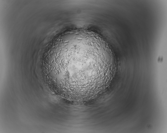 X0000112971249200909031037